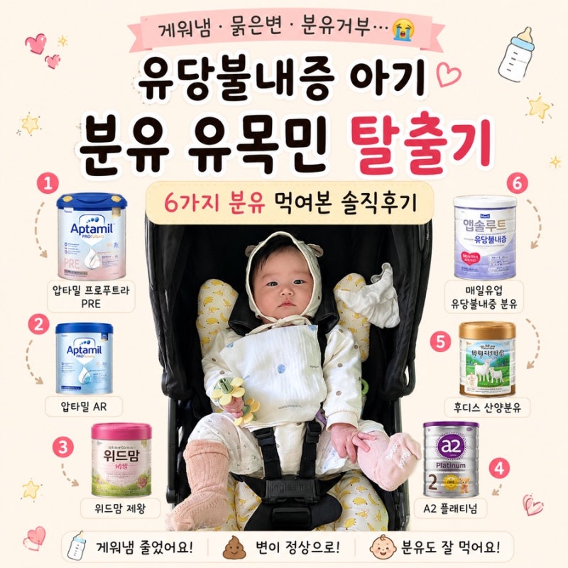 유당불내증 아기 분유 유목민 탈출기 압타밀·A2·산양분유 다 먹여본 찐후기 (+성장곡선)
