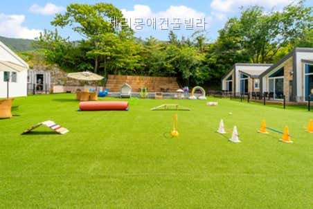체리몽애견풀빌라 사진 3