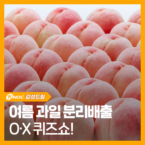 여름 과일 분리배출 O·X 퀴즈쇼!