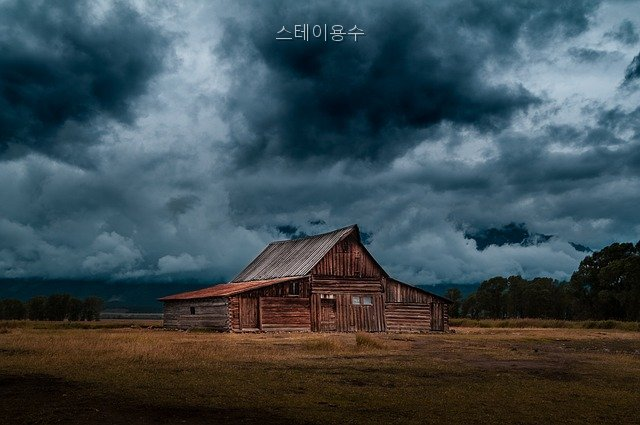 스테이용수 사진 2