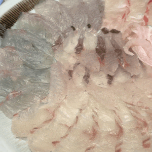 광안리 횟집 추천 룸식당 부산 사람이 찾는 광안리 신라횟집 모둠회(소) 9만원 코스 후기
