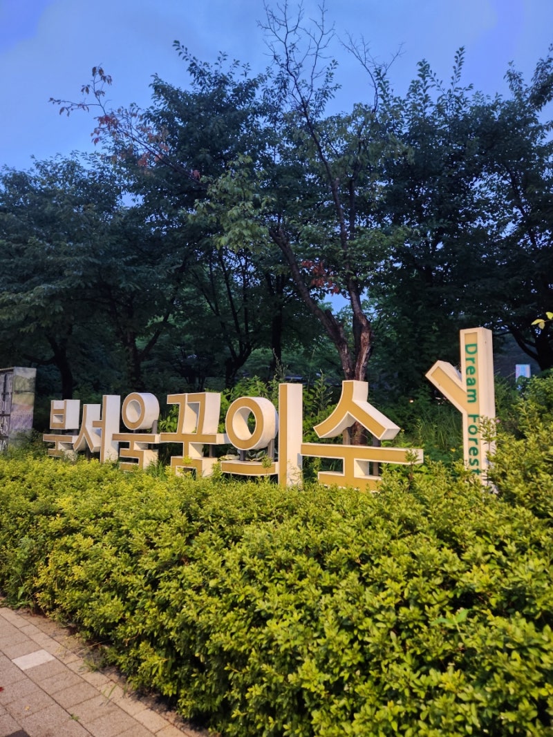 부모님/아이들과 산책하기 딱 좋은 [북서울 꿈의숲] 분수 물놀이 시간, 탈의실 총정리 & 빛의 ....