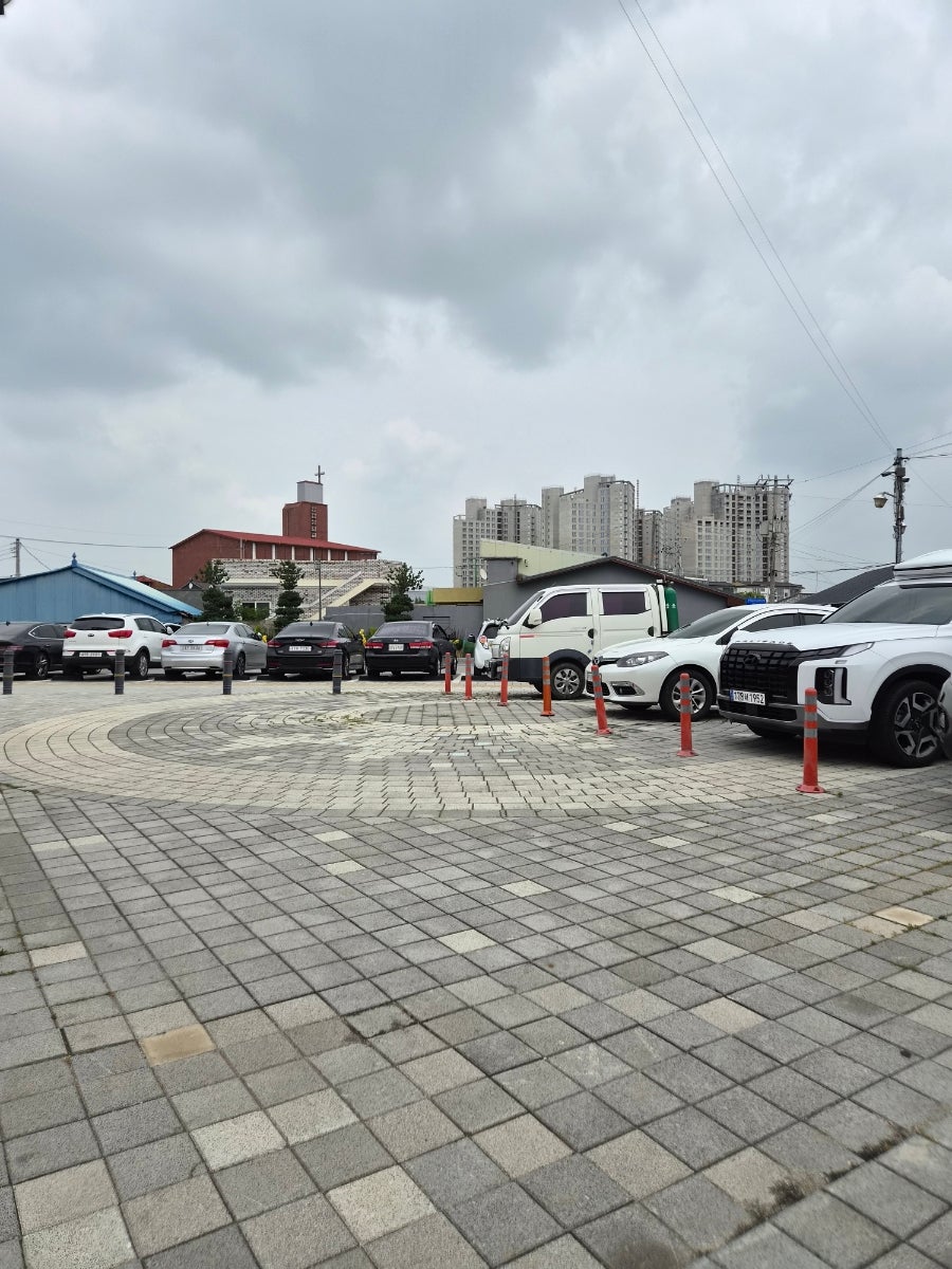 강경돈까스 사진 4