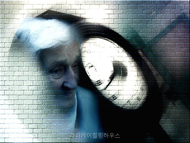 힐링하우스 사진 5