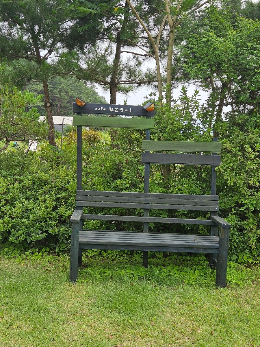 들꽃 사진 6