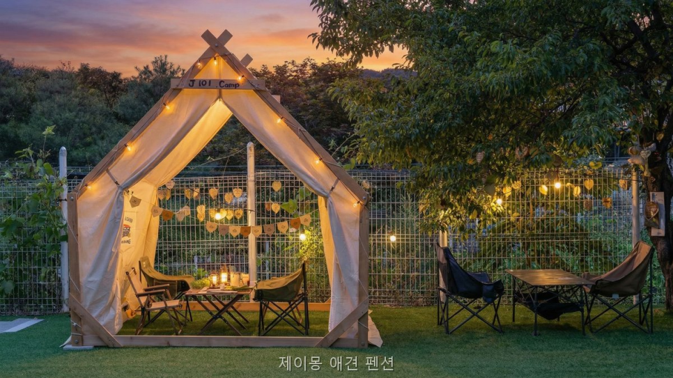제이몽애견펜션 사진 5