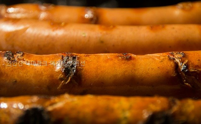연인산테마파크애견동반펜션 사진 5