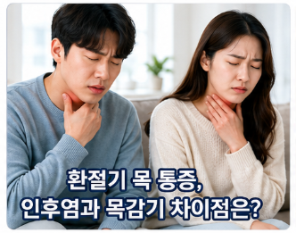 목아프면 목감기가 아니라 인후염일수도 있어요 특히 환절기