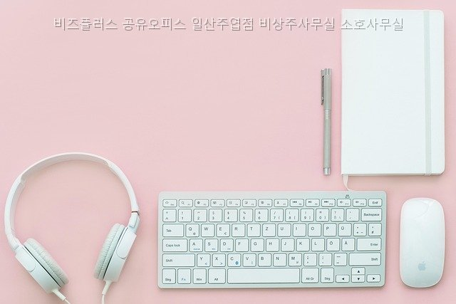 소호 사진 2