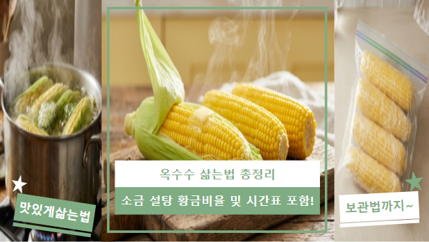옥수수 삶는법 총정리 | 소금 설탕 황금비율 및 시간표 포함