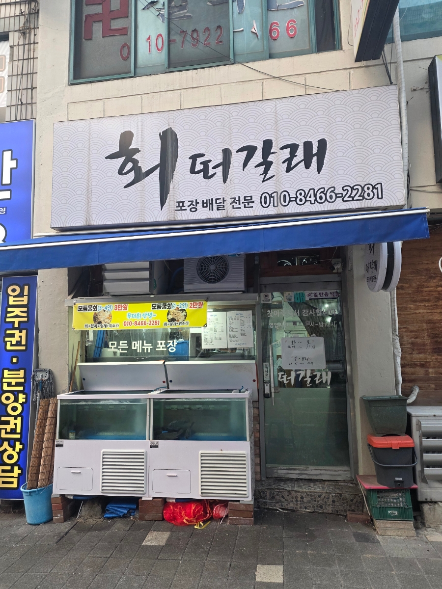 회떠갈래 사진 3