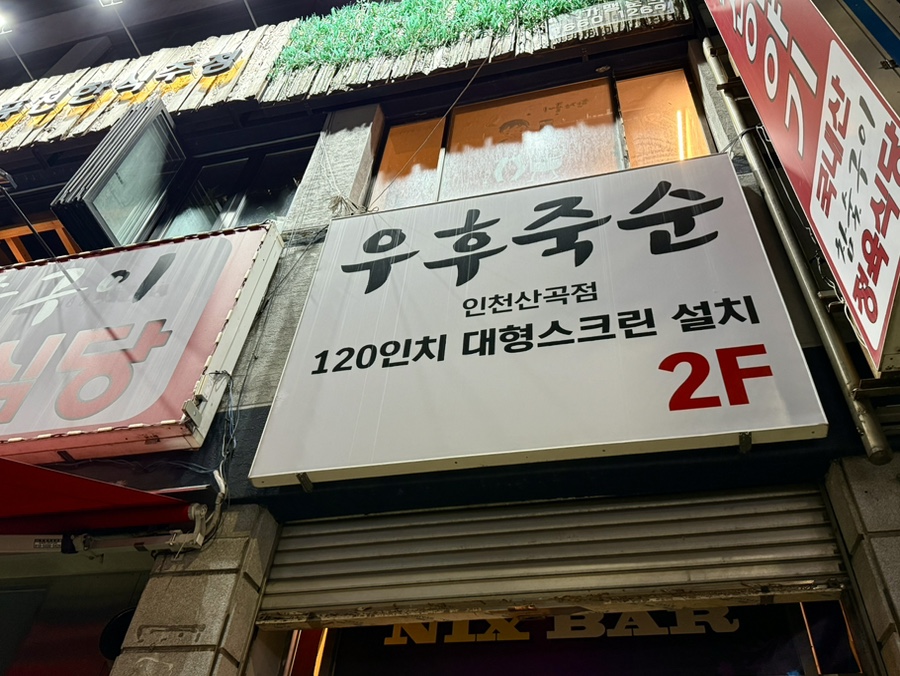 우후죽순 사진 4