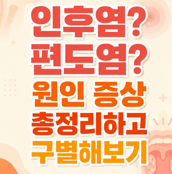 인후염 vs 편도염 목 통증 침 삼킬 때 이물감 원인 증상 총정리하고 정확히 구별하기