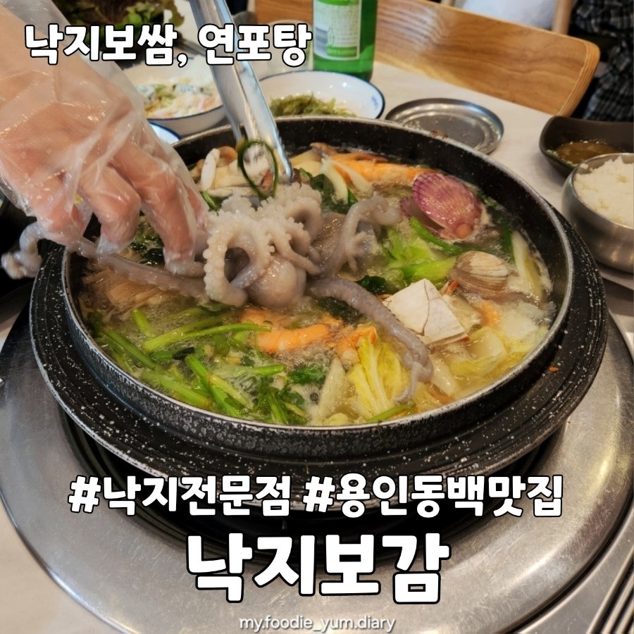 낙지보감 사진 1