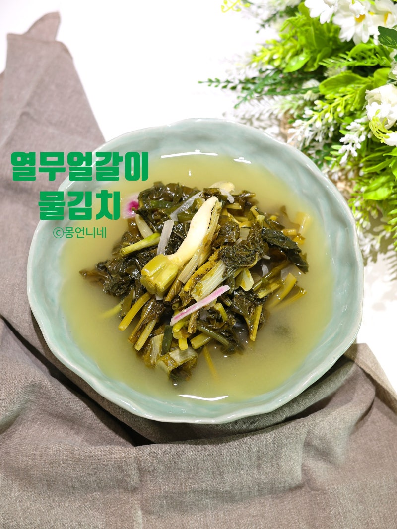 열무물김치 담그는법 열무얼갈이물김치 레시피