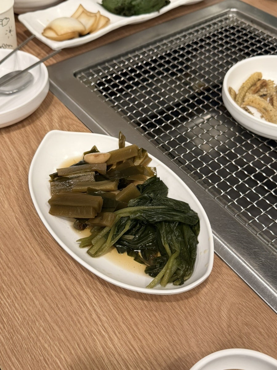 미남장어 사진 5