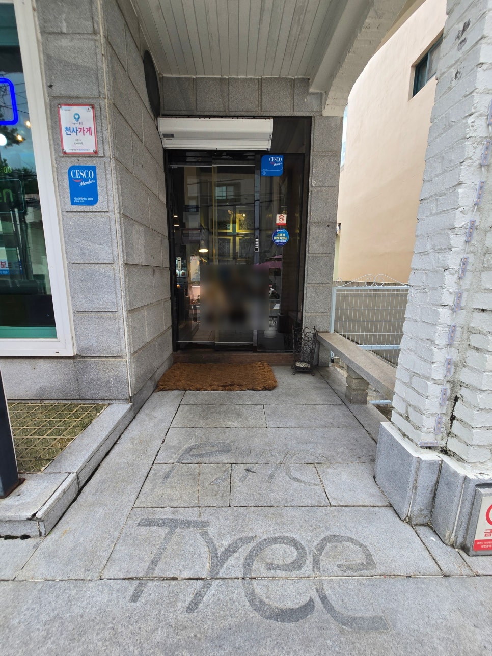 파인트리 사진 3