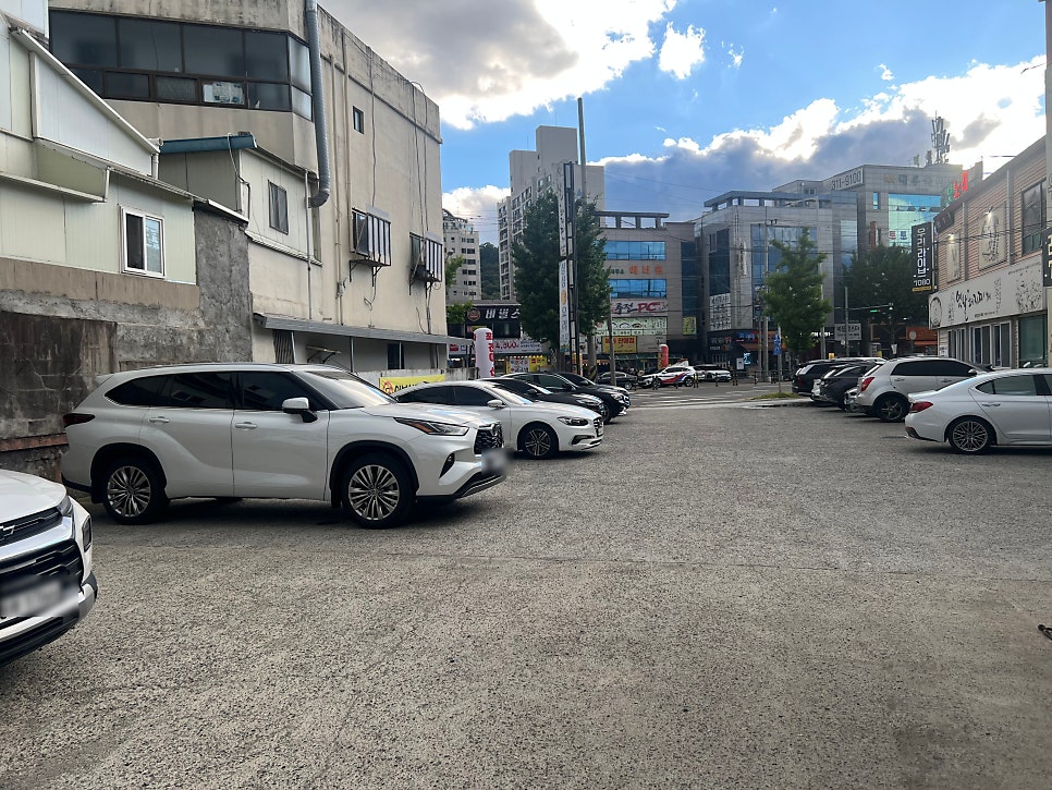 앞산애산오징어 사진 2