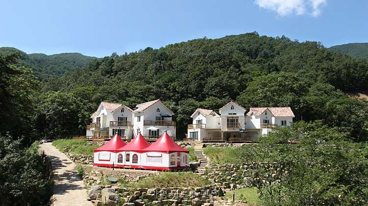 아트루 사진 1