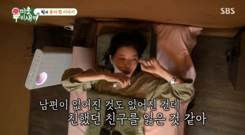이수 린 이혼 사유 이유, 11년 결혼생활 끝에 전한 진심과 눈물
