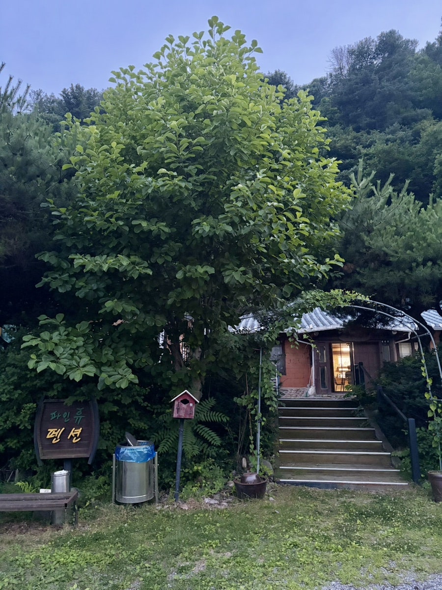 파인휴펜션 사진 1