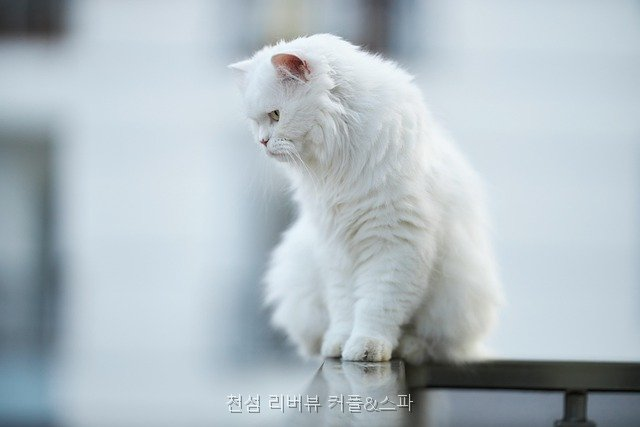 천섬리버뷰 커플 스파펜션 사진 2