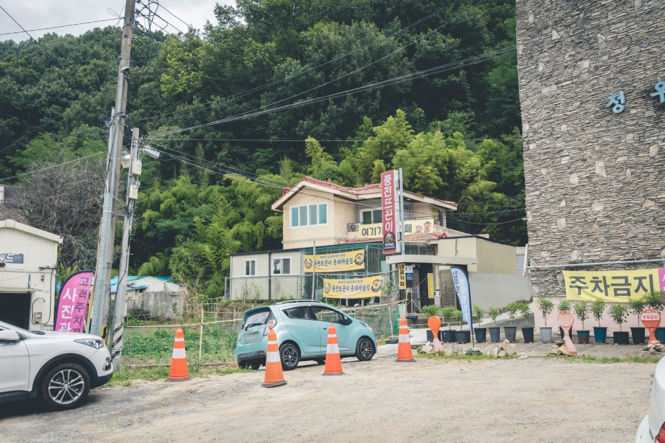 풍전뜨끈이 사진 2