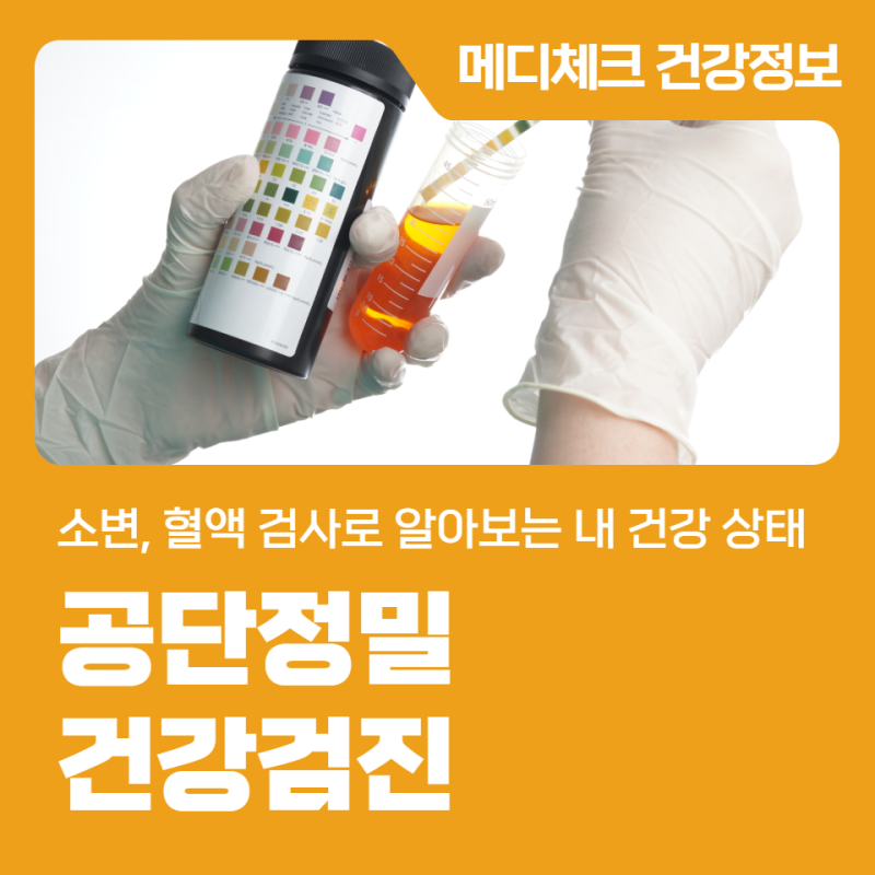 부산 직장인 건강검진 소변, 혈액 검사로 알아보는 내 건강 상태
