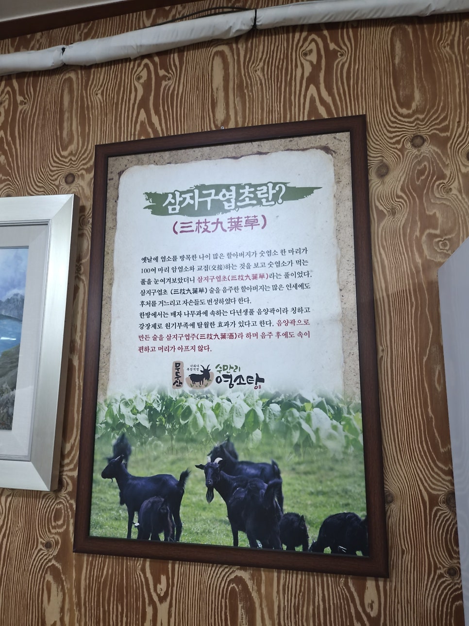 무등산수만리염소탕 강남점 사진 3
