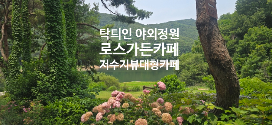 로스가든 사진 3