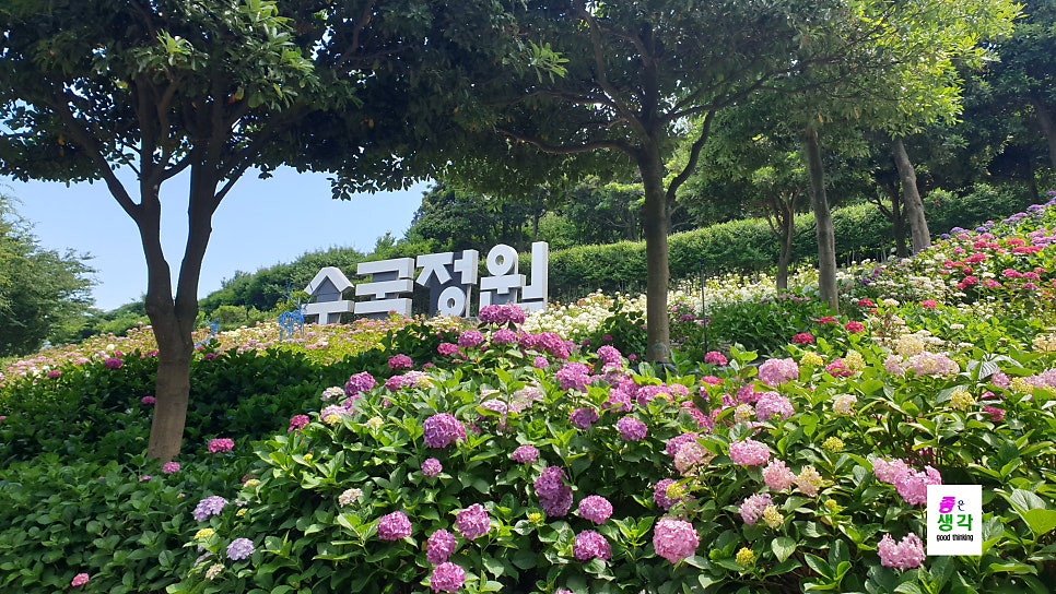 정원 사진 1