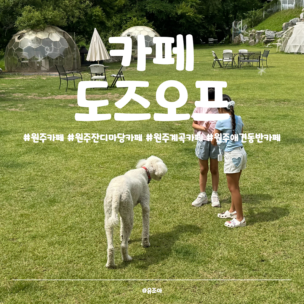 카페도즈오프 사진 1