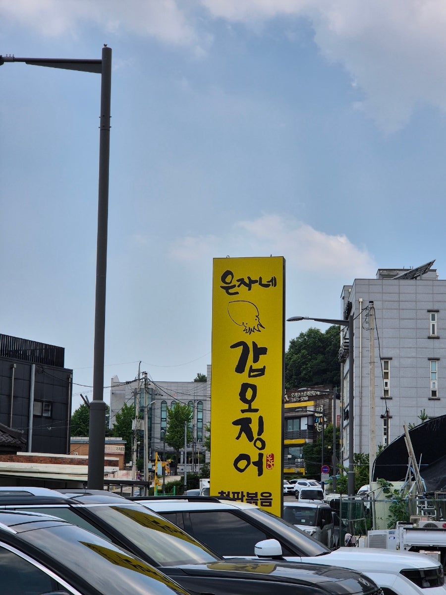 은자네갑오징어 사진 1