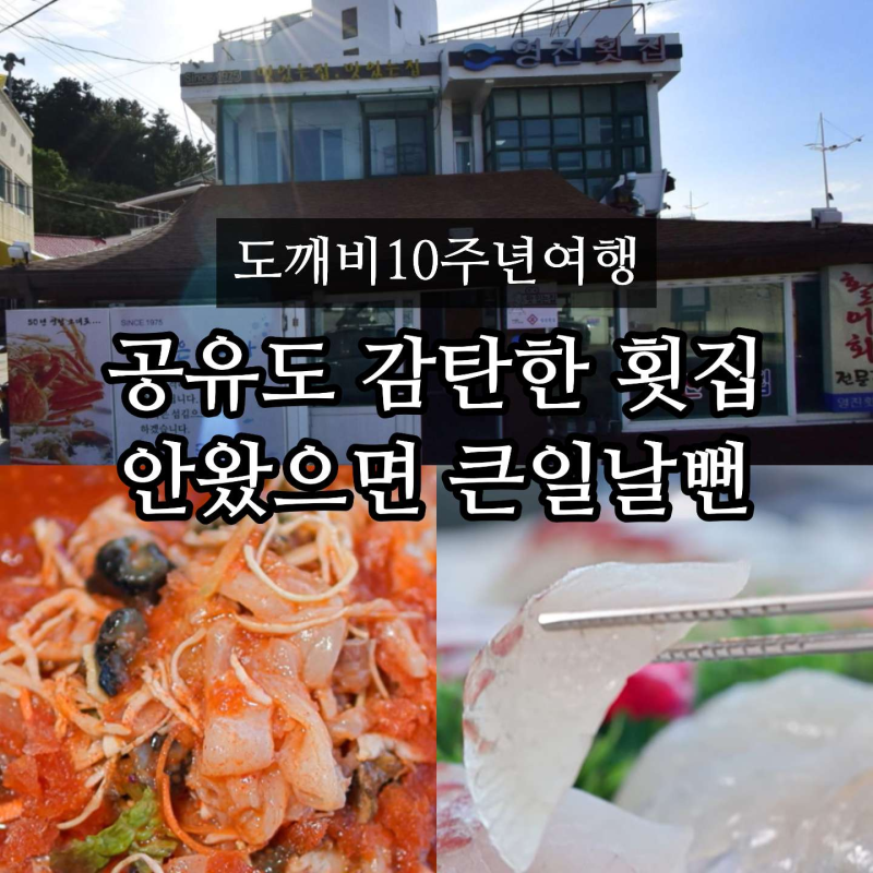 도깨비 10주년 여행 횟집 어디? 강릉 영진횟집 공유도 감탄한 주문진 물회 맛집