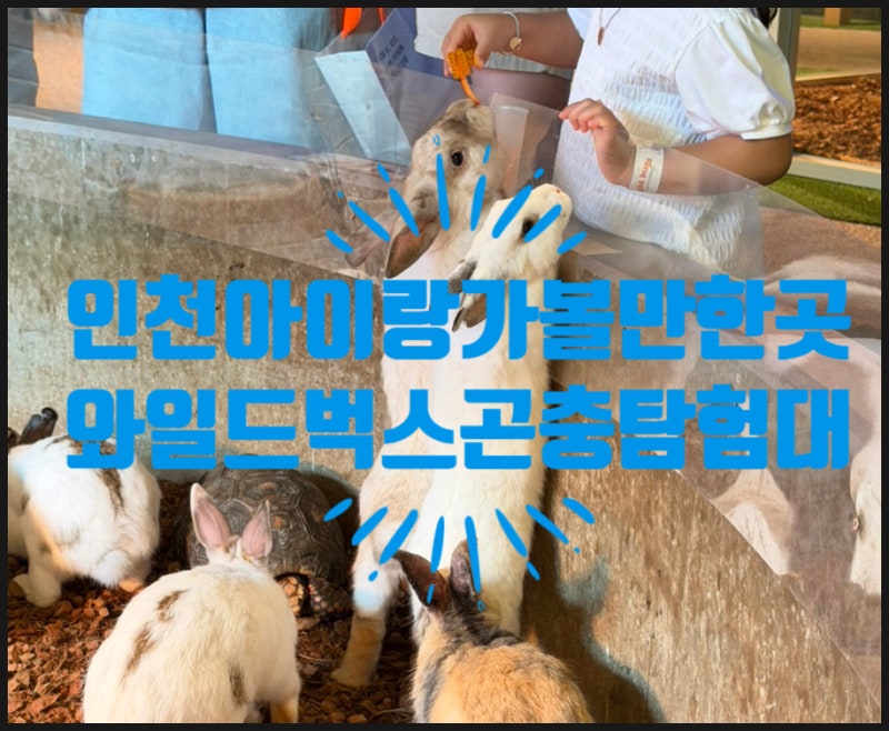 인천 아이와함께 실내 체험 추천, 월미도 와일드벅스 곤충탐험대 솔직 체험후기