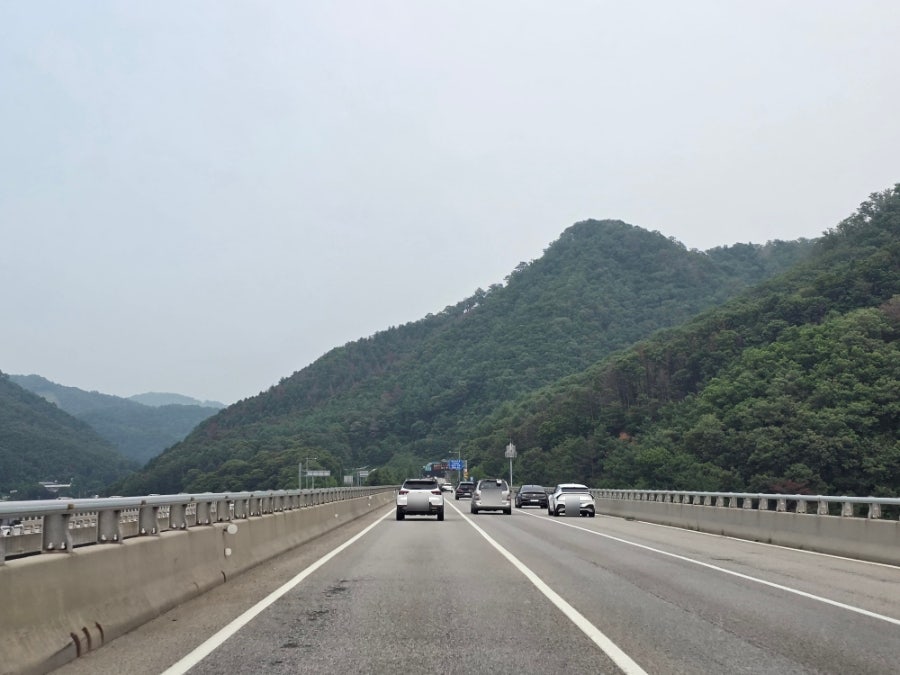 마곡유원지 사진 3
