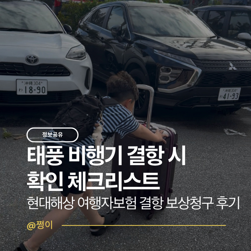 태풍 비행기 결항 시 확인 체크 리스트 | 현대해상 여행자 보험 결항 보상 청구 후기까지 완....