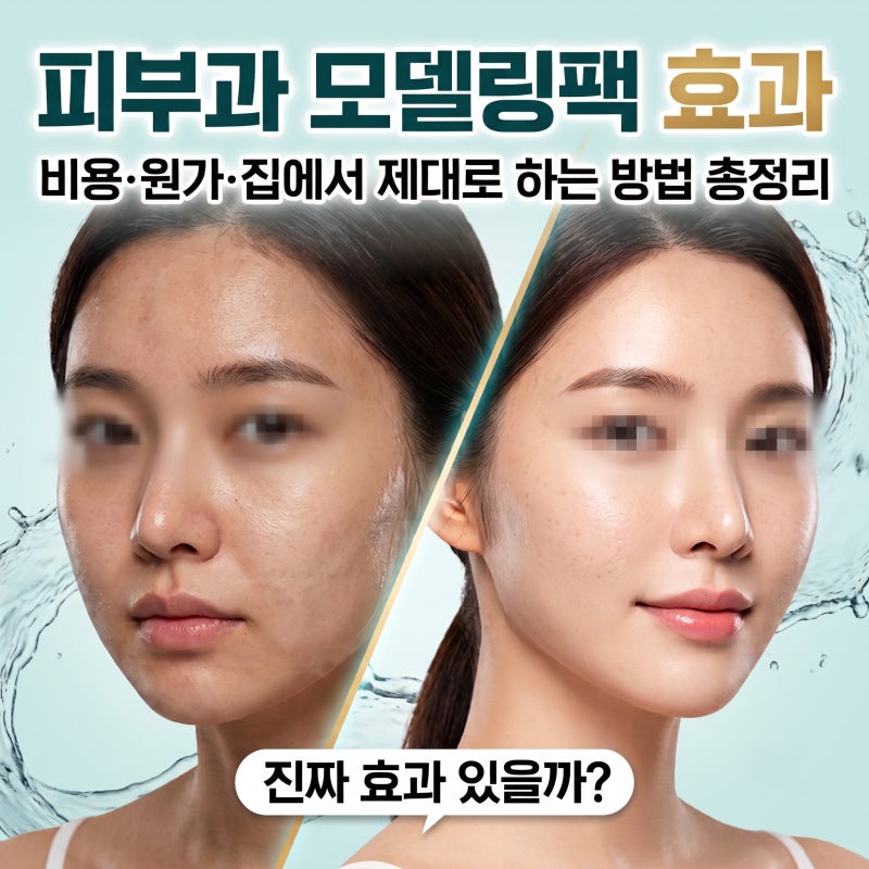 피부과 모델링팩 효과 있을까? 비용 원가 집에서 제대로 하는 방법 총정리