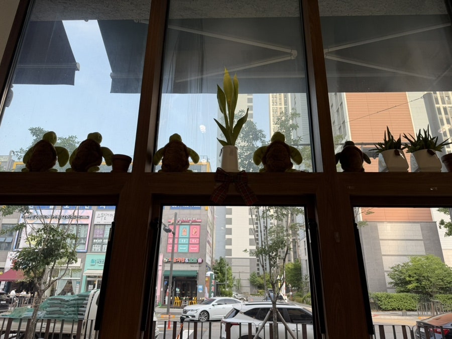 엉금 사진 4
