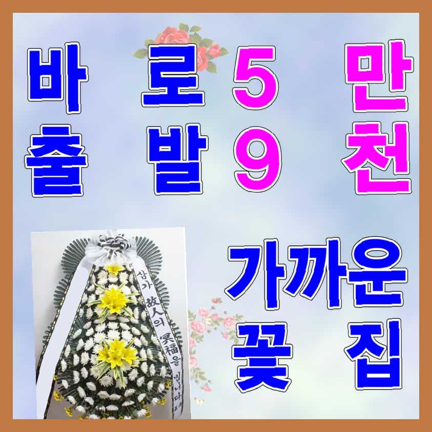 바른 사진 1