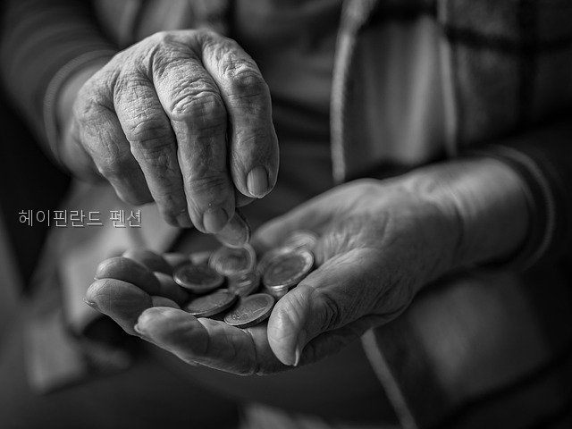 헤이핀란드펜션 사진 5
