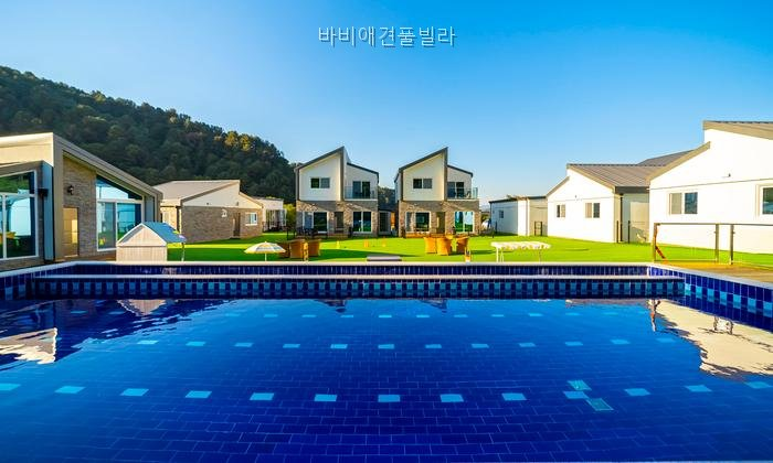 Babiaegyeonpulbilra photo 4
