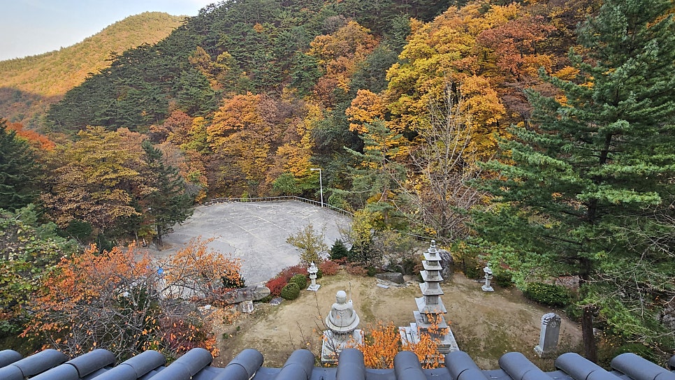 칠성산 사진 3