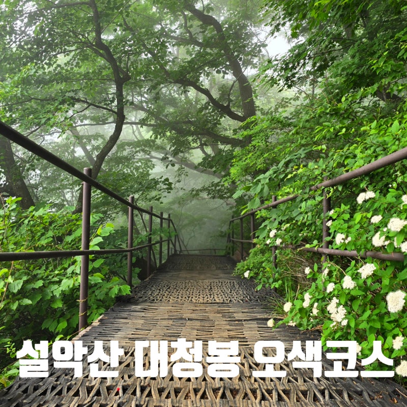 설악산 1박2일 산행 첫째날 오색코스 대청봉 희운각대피소 우중산행