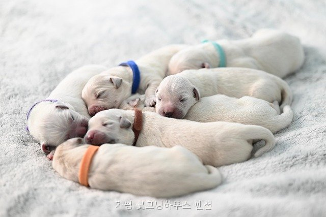 굿모닝하우스 사진 5