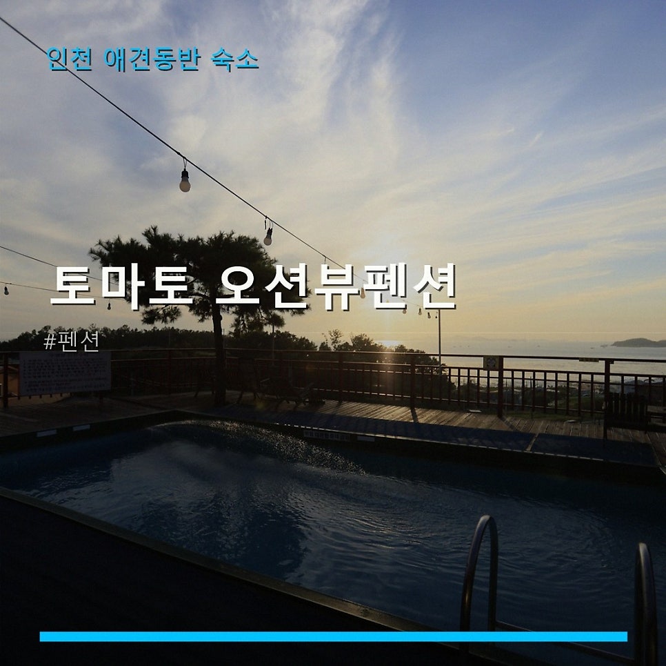 토마토오션뷰펜션 사진 1