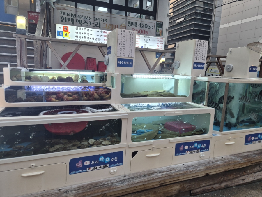 우리바다수산 사진 1