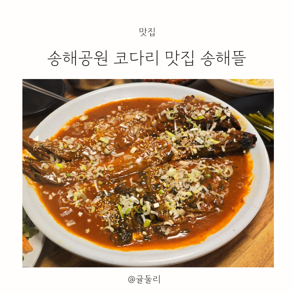 송해뜰 사진 1