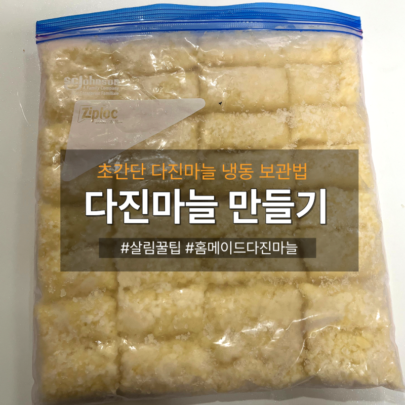 [살림꿀팁] 다이소 채칼과 믹서기로 뚝딱! 한 달이 편해지는 초간단 다진마늘 만들기 & 냉동 ....