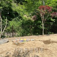사계돔글램핑 사진 5